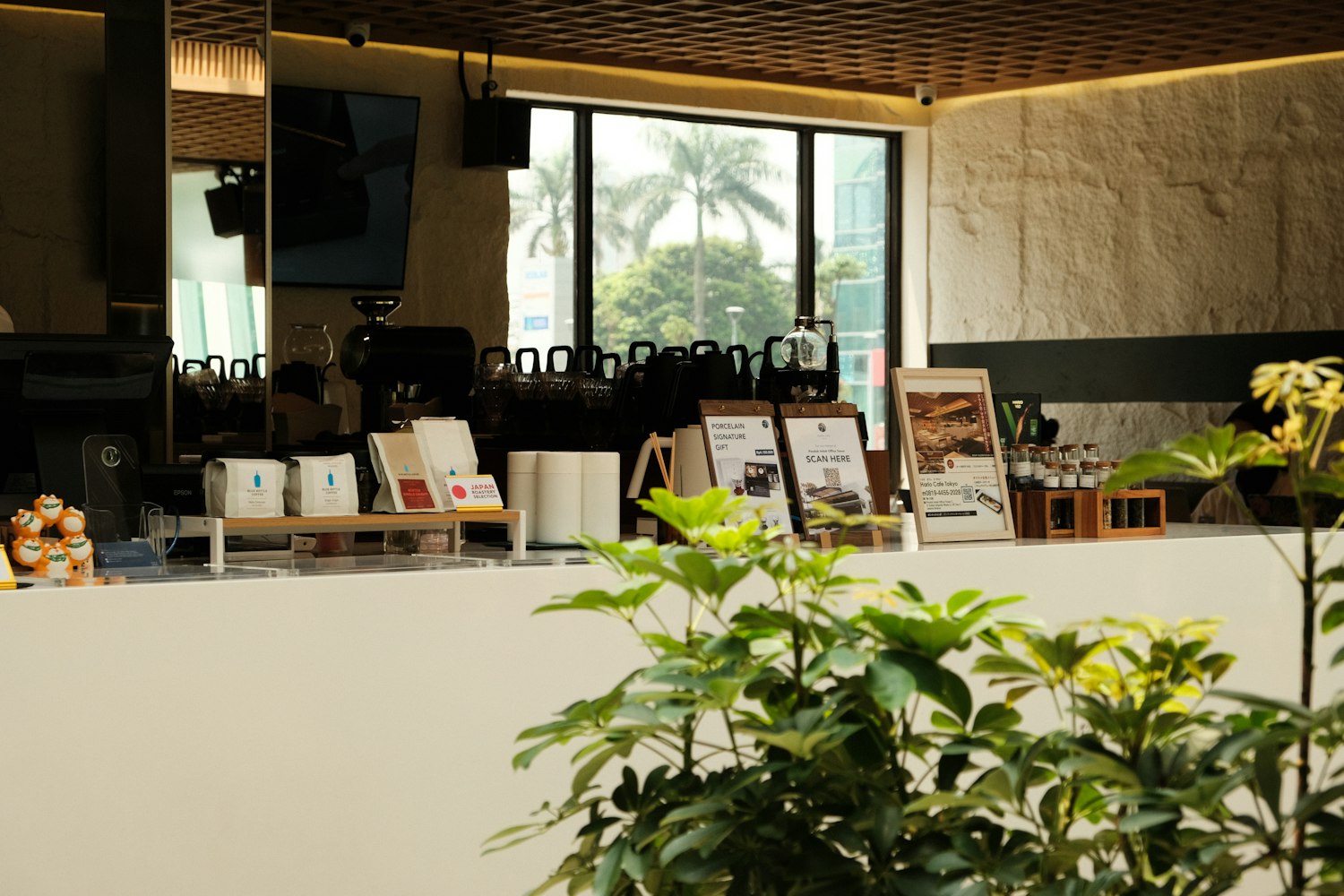 Interior luminoso de una cafetería moderna con barra y plantas