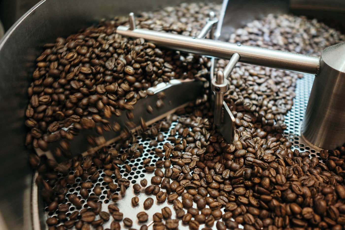 Lote de granos de café verde